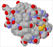 Hormonet insulin